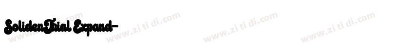 SolidenTrial Expand字体转换 SolidenTrial Expand字体转换